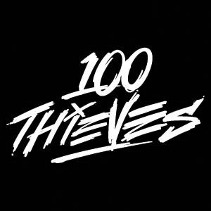 Hundred Thieves